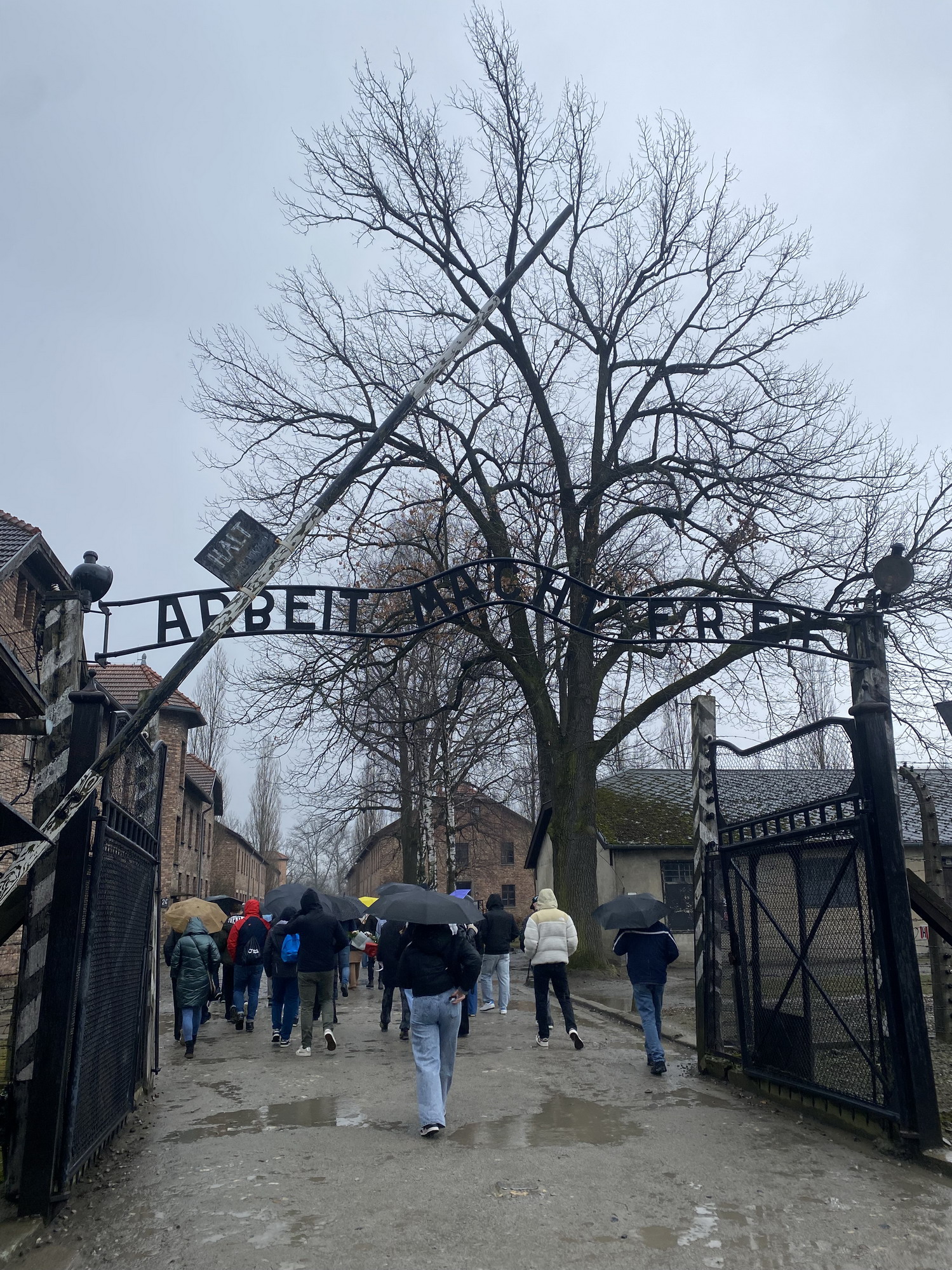 foto.02_Auschwitz: Ingresso al campo di sterminio