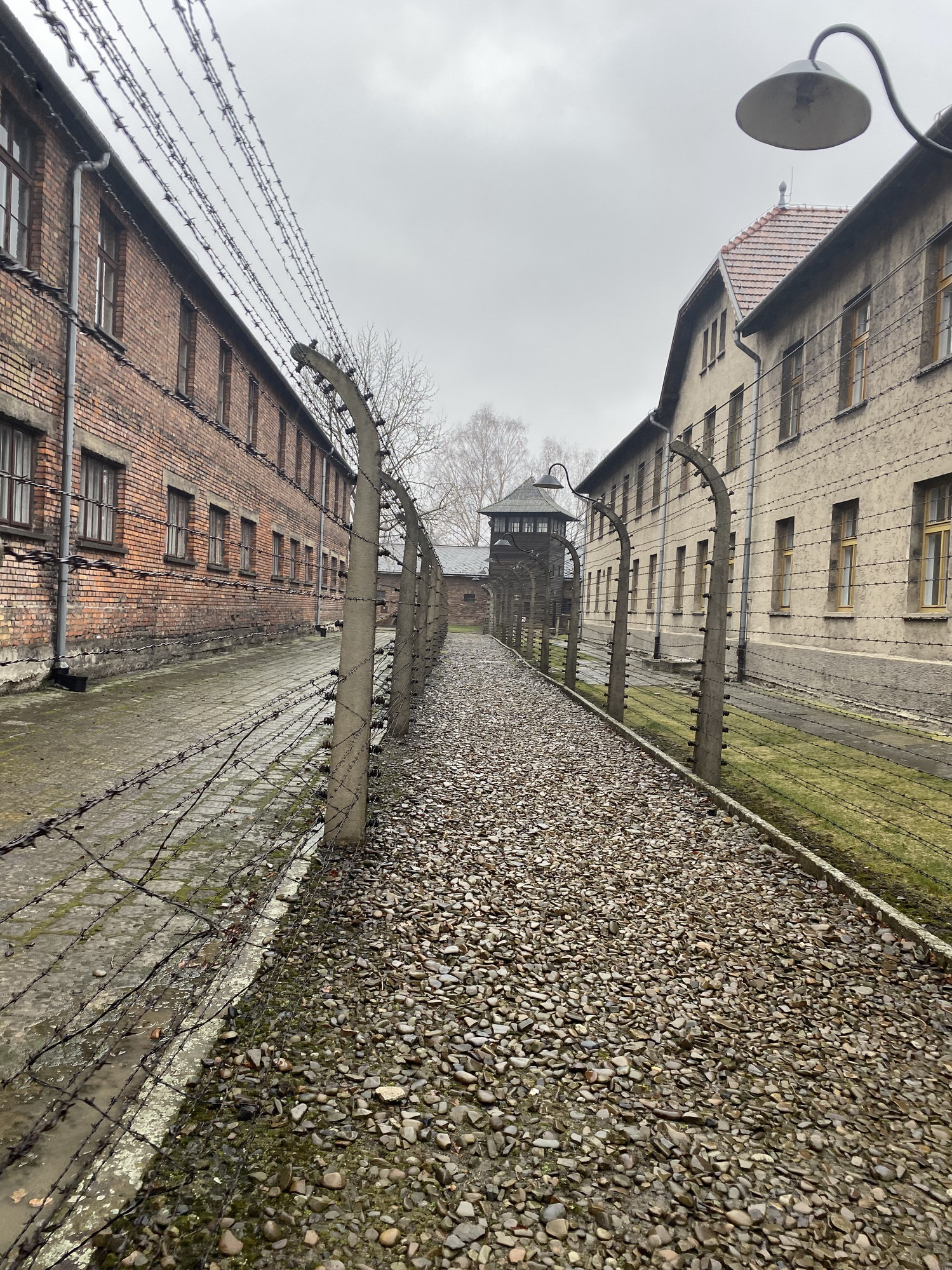 foto.03_Auschwitz: una realtà dell’assurdità umana