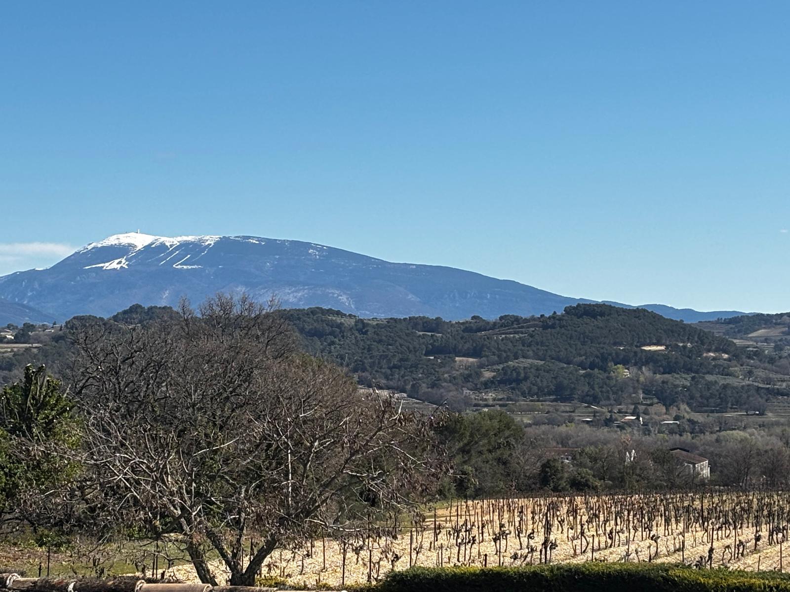 Mont Ventoux, il “Gigante della Provenza”