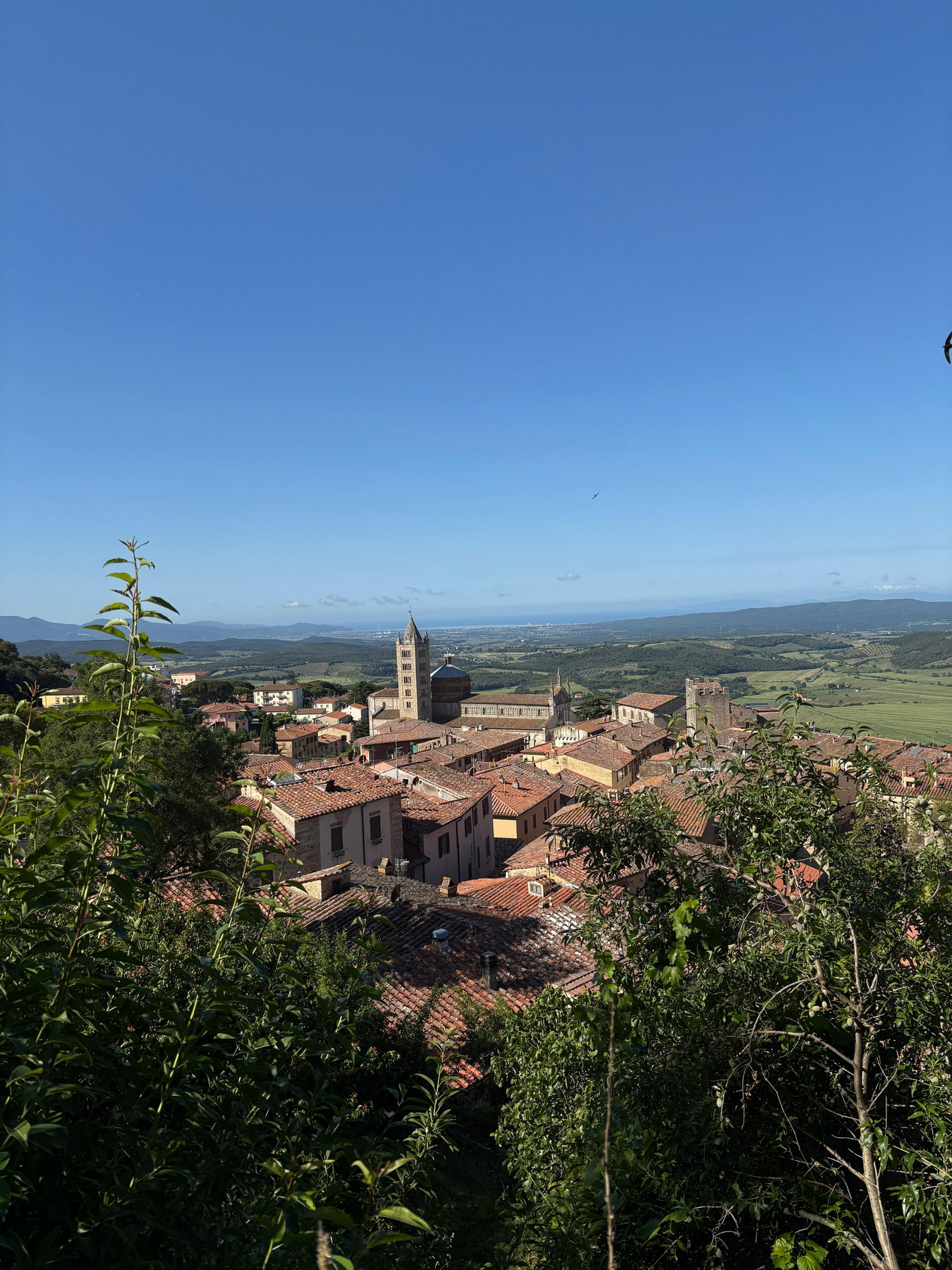 04_ panoramica Massa Marittima